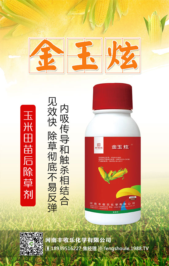 合作共謀發(fā)展,河南豐收樂再簽1988.TV開創(chuàng)新輝煌!