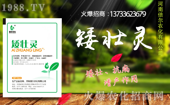 ϱm(x)s1988.TVyֹ(chung)x