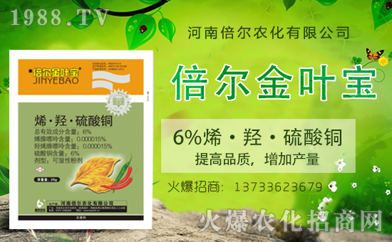 ϱm(x)s1988.TVyֹ(chung)xͣ