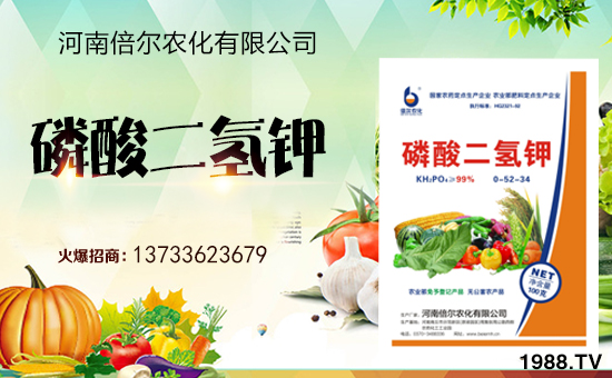 ϱm(x)s1988.TVyֹ(chung)x