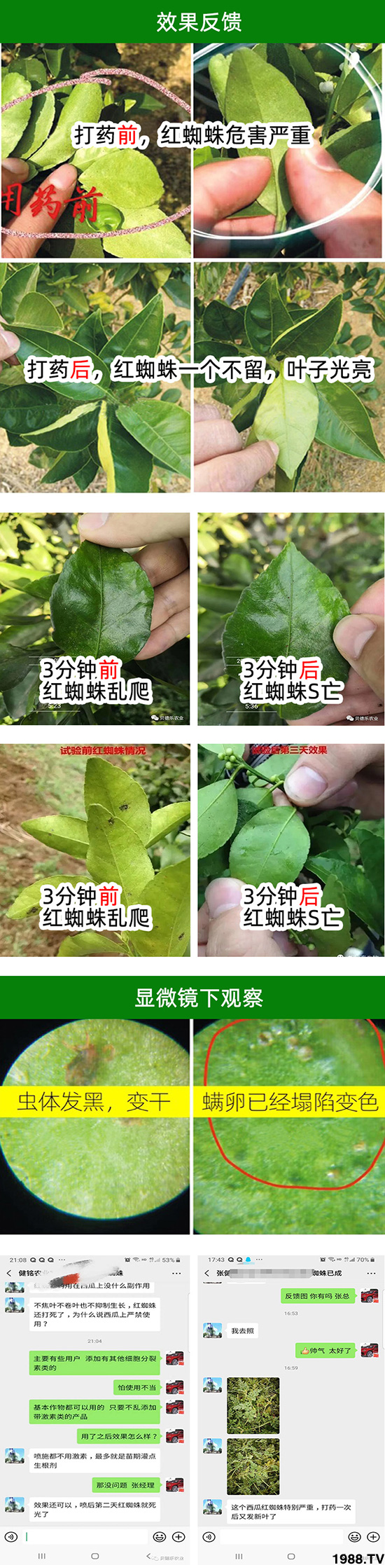 金滿園+九螨-億畝田