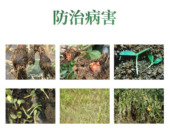 QQ圖片20200610184059_04