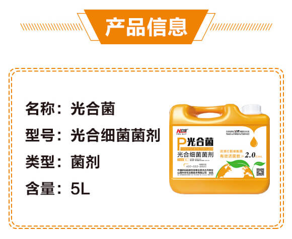 ϼ-Ͼ-A̫¡-r(nng)_03