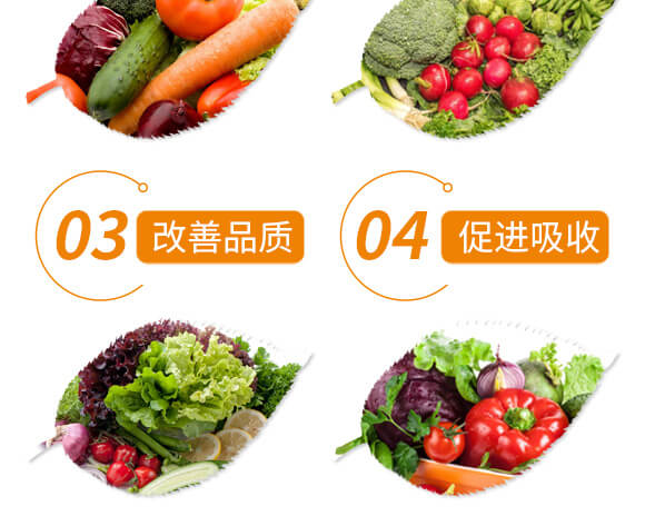 ϼ-Ͼ-A̫¡-r(nng)_05