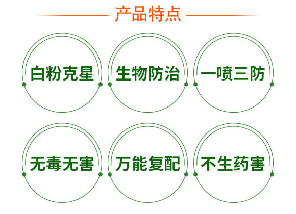 ǑҸҺwƷ-(zhn)ۡ-(qing)r(nng)_04