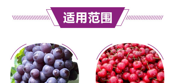 ͏(f)Ϸ12-8-28-Ԫ-r(nng)_06