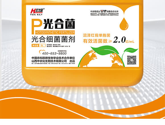 ϼ-Ͼ-A̫¡-r(nng)_02