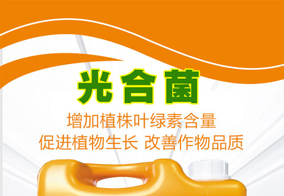 ϼ-Ͼ-A̫¡-r(nng)_01