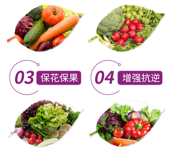 ͏(f)Ϸ12-8-28-Ԫ-r(nng)_05