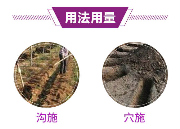 ͏(f)Ϸ12-8-28-Ԫ-r(nng)_08