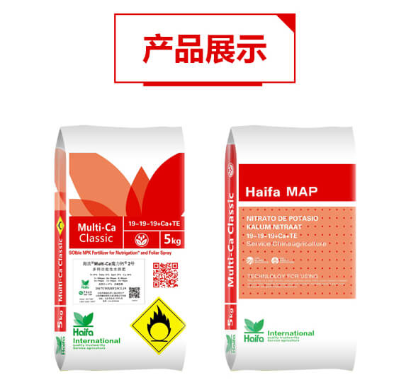 ๦ˮܷ19-19-19+TE-ħ}2̖-Q(mo)_05