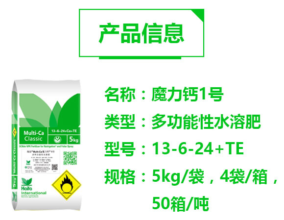 多功能性水溶肥13-6-24+TE-魔力鈣1號(hào)-海法科貿(mào)_02