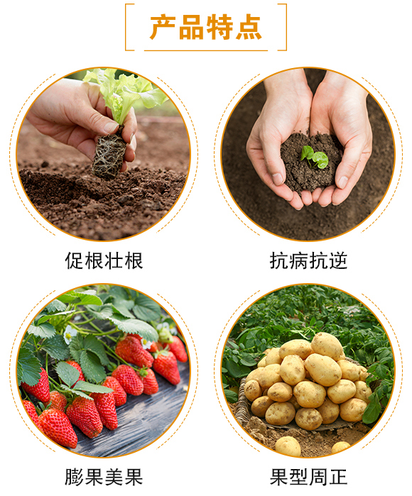 黑金-日正農(nóng)業(yè)_04