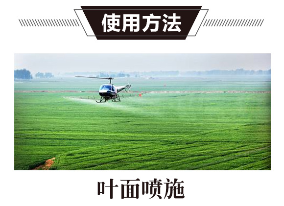 碳?xì)浜朔?綠藻門-碳?xì)鋰H_02