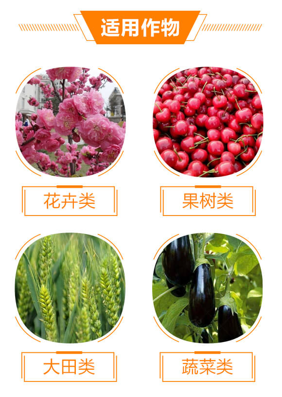 大量元素水溶肥料19-19-19+TE+C-沃爾優(yōu)_05