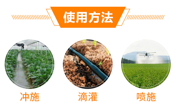 大量元素水溶肥料19-19-19+TE+C-沃爾優(yōu)_04