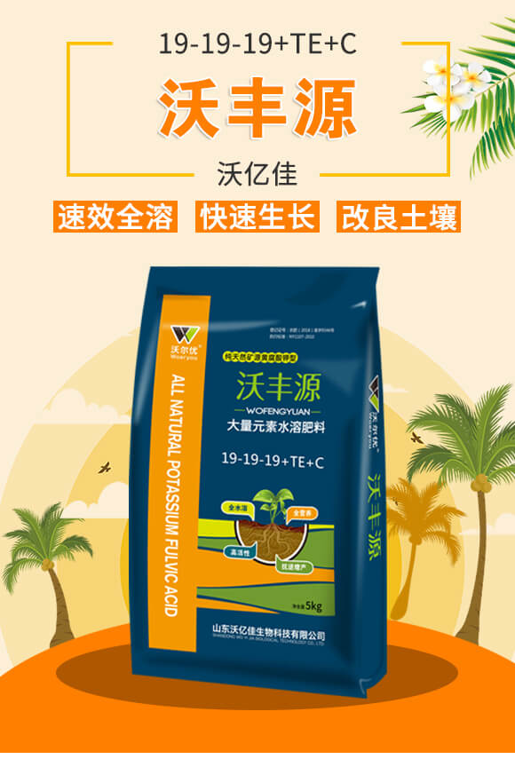 大量元素水溶肥料19-19-19+TE+C-沃爾優(yōu)_01
