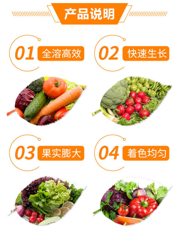 大量元素水溶肥料19-19-19+TE+C-沃爾優(yōu)_03