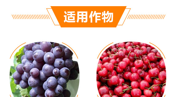 EM微生物菌液+活力肽-歡喜地-喜上家_06