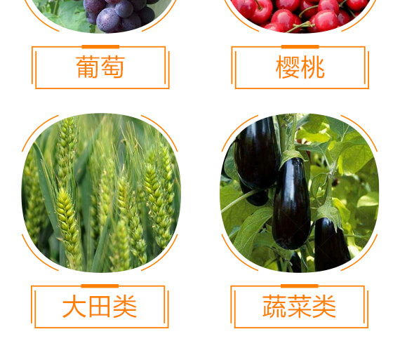 EM微生物菌液+活力肽-歡喜地-喜上家_07