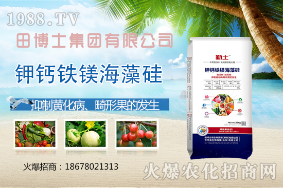 花生重茬會產生哪些影響?如何解決花生重茬問題?