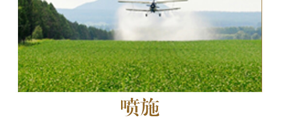 中藥材三七當歸專用-含腐植酸水溶肥-北美農(nóng)大_12