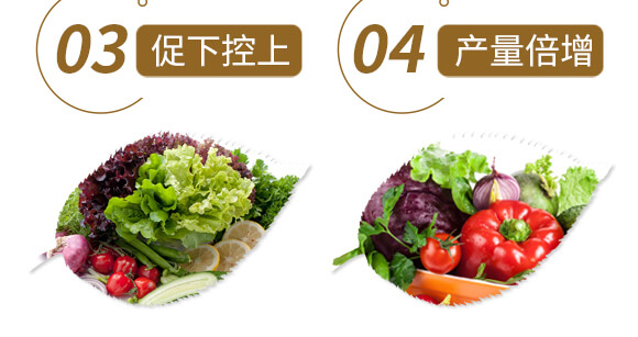 中藥材三七當歸專用-含腐植酸水溶肥-北美農(nóng)大_07