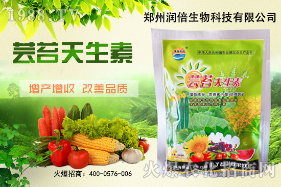 黃連苗期怎么管理?黃連苗期病蟲害防治!