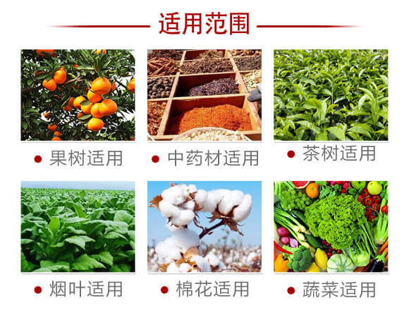 80%四聚乙醛(15克)-雙打-凱諾生物_06