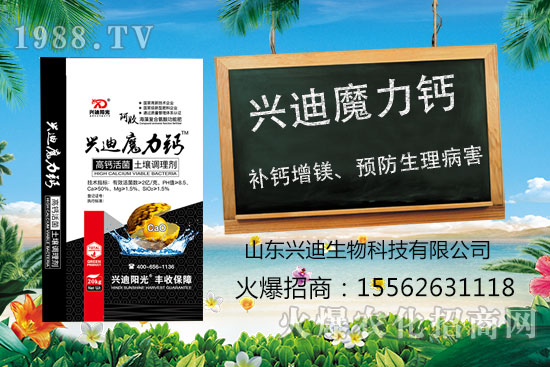  ҘѹôkҘѹη̽ӑ