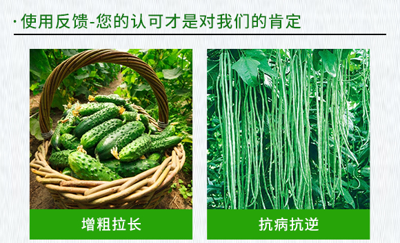 黃瓜、豆角專用含氨基酸水溶肥料-伊力奇-科德寶2