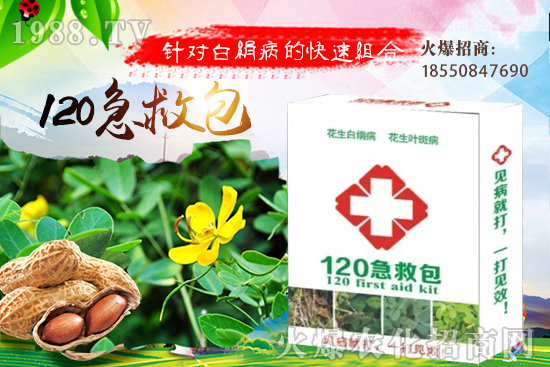 芋頭的品種有哪些?九頭芋的種植效益分析!