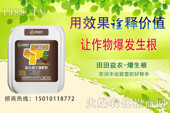 ¿ԷNֲ߲Щ·N߲˹Ҫc