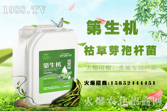 桃樹嫁接常用工具,桃樹嫁接后注意事項(xiàng)!