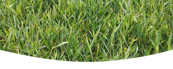 農(nóng)夫稼園生物技術有限公司_16