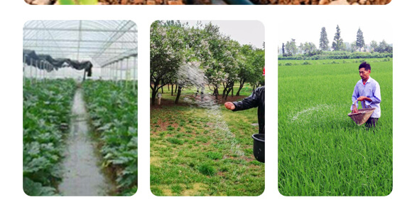 農(nóng)夫稼園生物技術有限公司_19