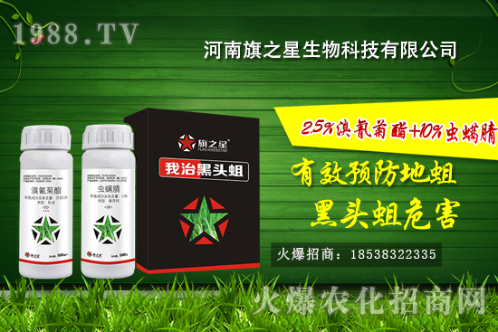 什么是韭蛆,韭蛆發(fā)生規(guī)律,韭蛆無(wú)公害防治方法!