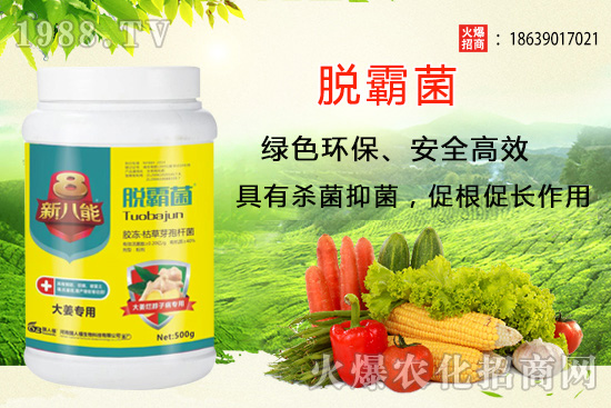 NֲxʲôƷNNֲǰƷN]