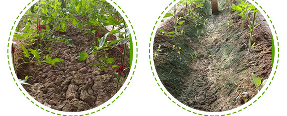 農(nóng)夫稼園生物技術有限公司_08