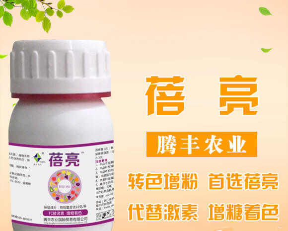 vSr(nng)I(y)Ƽ޹˾_01