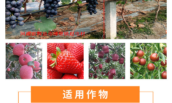 vSr(nng)I(y)Ƽ޹˾_11