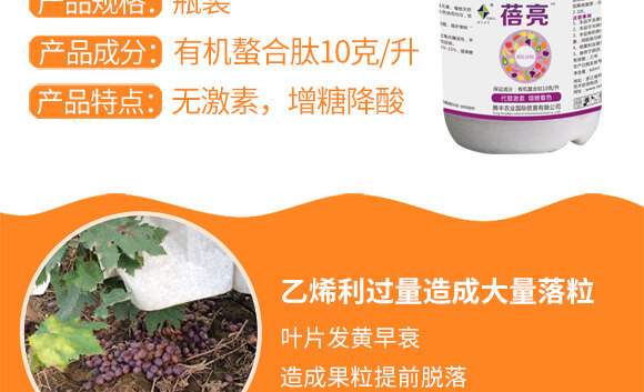 vSr(nng)I(y)Ƽ޹˾_03