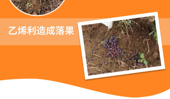 vSr(nng)I(y)Ƽ޹˾_04