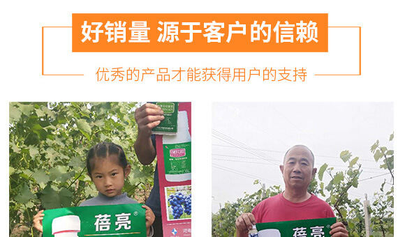 vSr(nng)I(y)Ƽ޹˾_06