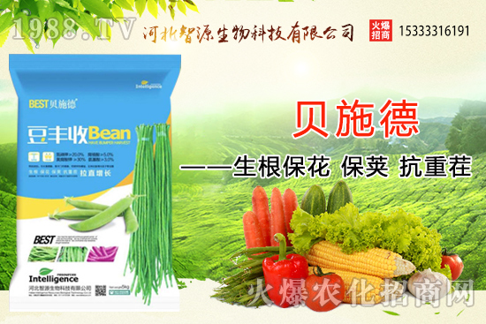 ӱԴٶȔy1988.TVyֹ(chung)(zhn)