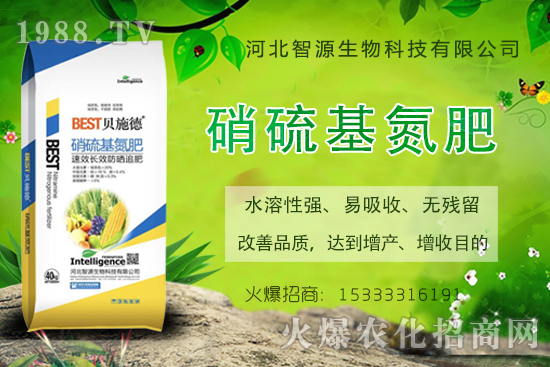 ӱԴٶȔy1988.TVyֹ(chung)(zhn)