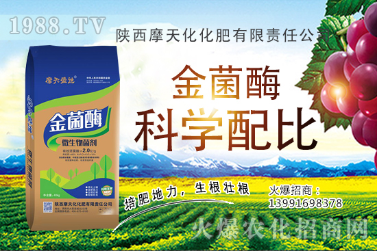 種一畝蘋果的成本是多少,有多少利潤?蘋果種植技術與管理!