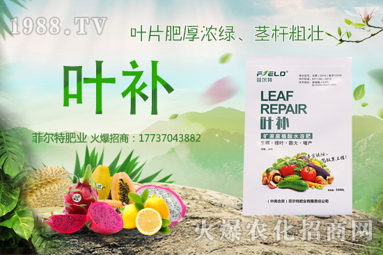 oNֲǰôoNֲr(sh)gͷ