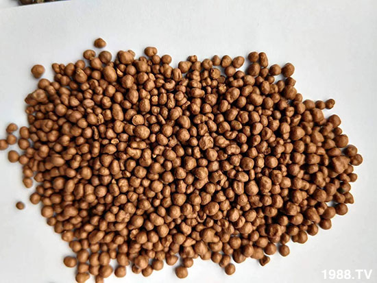 ȻV|(zh)-ЙC(j)-r(nng)I(y)