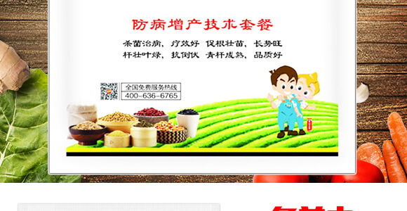 袋裝防病增產(chǎn)技術(shù)套餐-多美豐-爵利_03